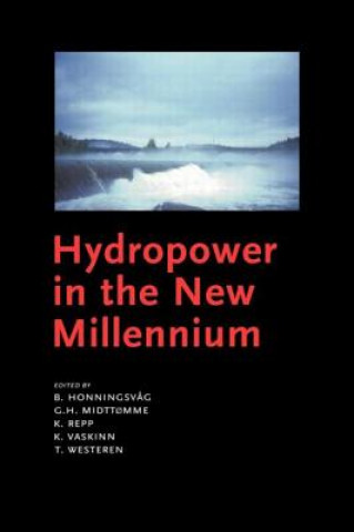 Könyv Hydropower in the New Millennium 