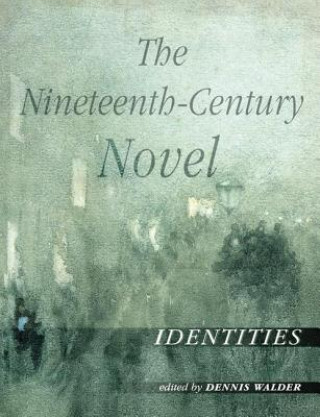 Buch Nineteenth-Century Novel: Identities 