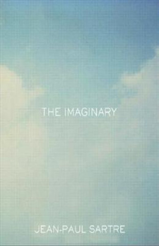 Kniha Imaginary Arlette Elkaim-Sartre