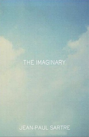 Könyv Imaginary Arlette Elkaim-Sartre