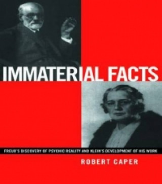 Buch Immaterial Facts Robert Caper