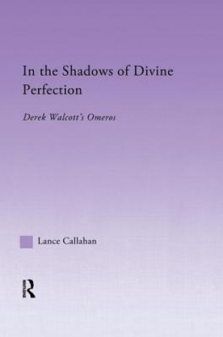 Carte In the Shadows of Divine Perfection Lance Callahan