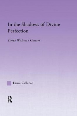 Kniha In the Shadows of Divine Perfection Lance Callahan