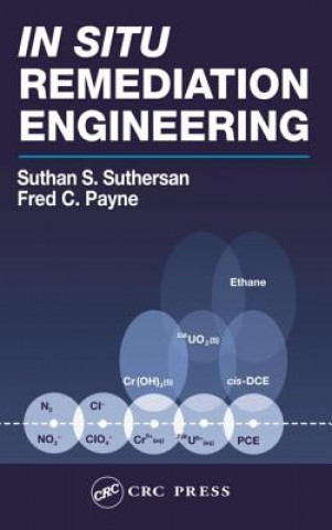 Kniha In Situ Remediation Engineering Fred C. Payne