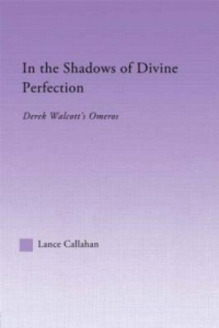Kniha In the Shadows of Divine Perfection Lance Callahan