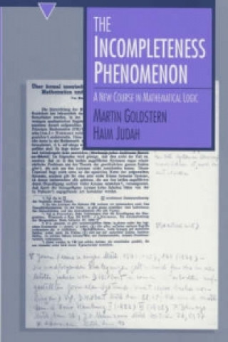 Livre Incompleteness Phenomenon Haim Judah