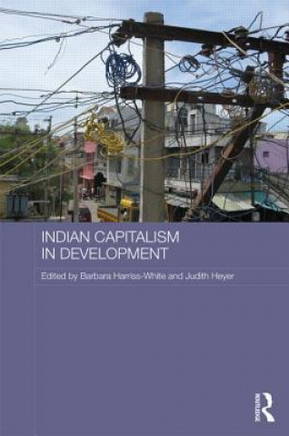 Książka Indian Capitalism in Development 