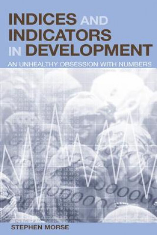 Kniha Indices and Indicators in Development Stephen Morse