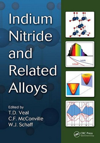 Könyv Indium Nitride and Related Alloys Timothy David Veal