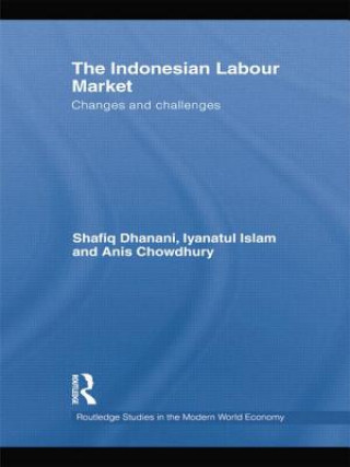 Livre Indonesian Labour Market Anis Chowdhury