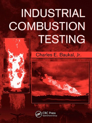 Kniha Industrial Combustion Testing Jr. Charles E. Baukal