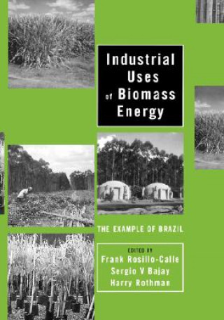 Kniha Industrial Uses of Biomass Energy Frank Rosillo-Calle