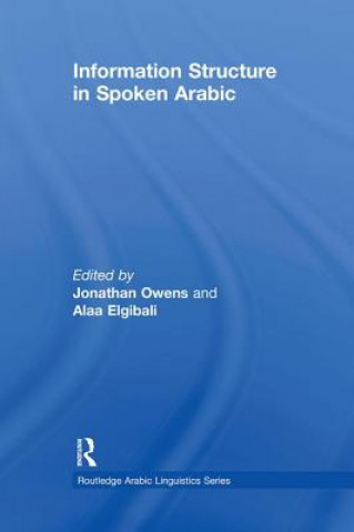 Książka Information Structure in Spoken Arabic Jonathan Owens