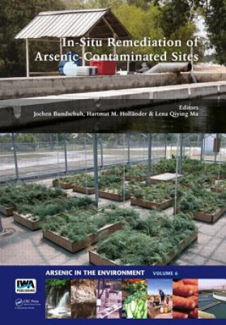 Kniha In-Situ Remediation of Arsenic-Contaminated Sites Jochen Bundschuh