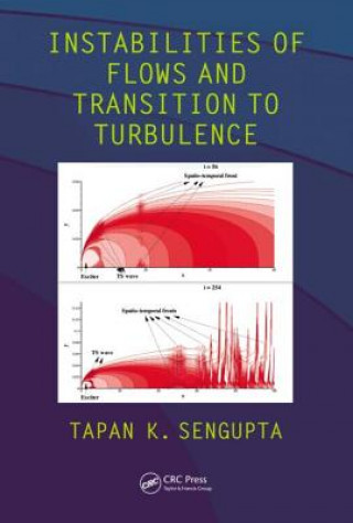 Buch Instabilities of Flows and Transition to Turbulence Tapan K. Sengupta