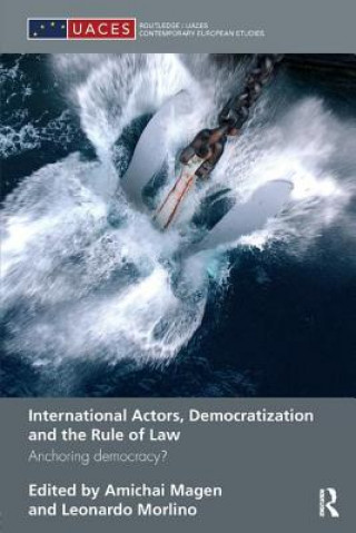 Carte International Actors, Democratization and the Rule of Law 