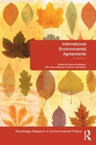 Libro International Environmental Agreements 