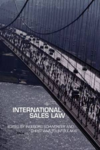 Kniha International Sales Law 