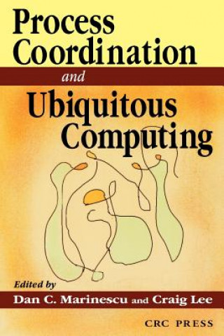 Kniha Internet Process Coordination Craig Lee