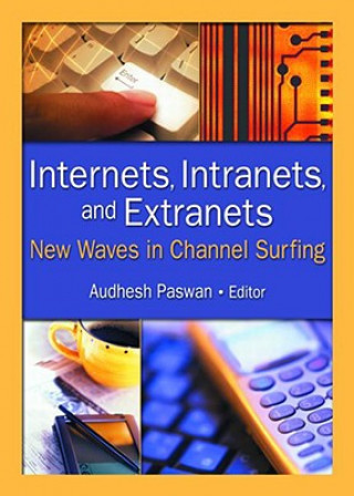 Kniha Internets, Intranets, and Extranets Audhesh Paswan