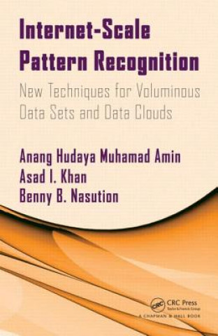 Buch Internet-Scale Pattern Recognition Benny B. Nasution