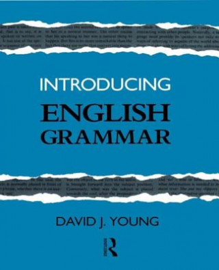 Carte Introducing English Grammar David J. Young