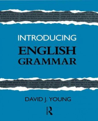 Kniha Introducing English Grammar David J. Young