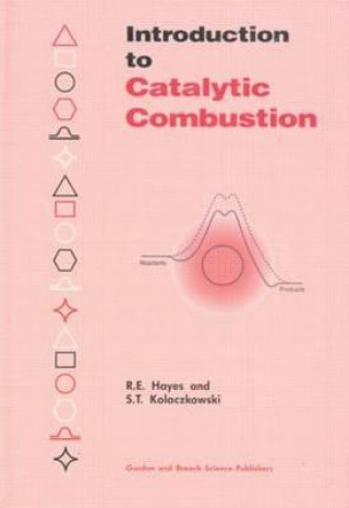 Kniha Introduction to Catalytic Combustion S.T. Kolaczkowski