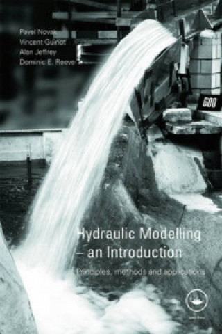 Kniha Hydraulic Modelling: An Introduction Dominic E. Reeve