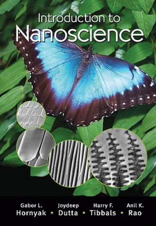 Carte Introduction to Nanoscience Anil Rao