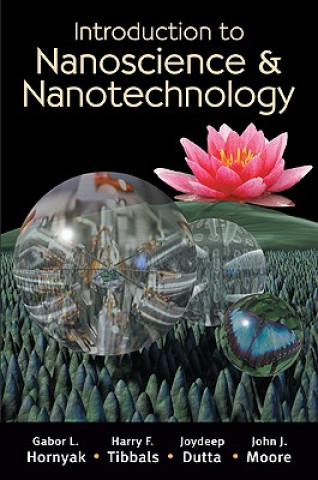 Könyv Introduction to Nanoscience and Nanotechnology John J. Moore