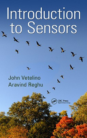Könyv Introduction to Sensors Aravind Reghu