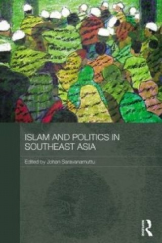 Könyv Islam and Politics in Southeast Asia 