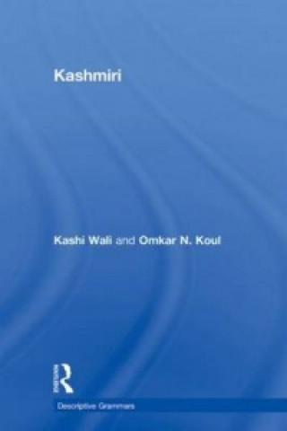 Книга Kashmiri Kashi Wali