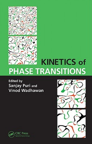 Książka Kinetics of Phase Transitions Sanjay Puri