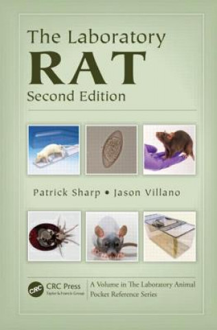 Kniha Laboratory Rat Jason Vilano