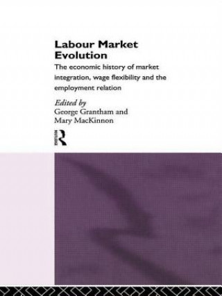 Könyv Labour Market Evolution 