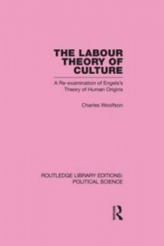 Kniha Labour Theory of Culture Charles Woolfson