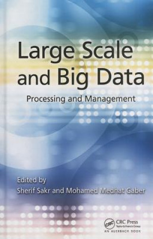 Knjiga Large Scale and Big Data 