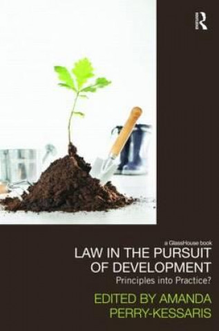 Kniha Law in the Pursuit of Development Amanda Perry Kessaris