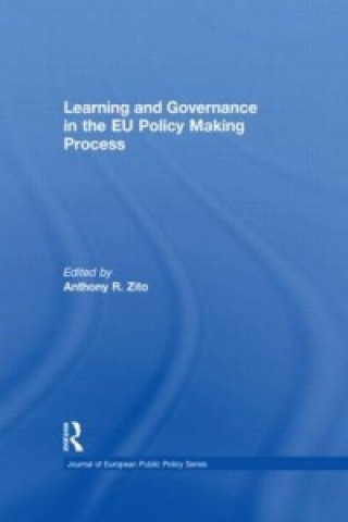 Könyv Learning and Governance in the EU Policy Making Process Anthony R. Zito