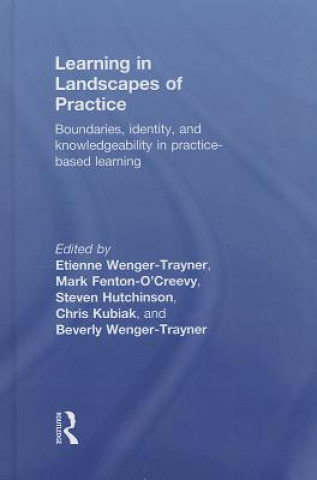 Kniha Learning in Landscapes of Practice 