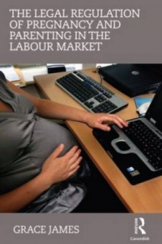 Kniha Legal Regulation of Pregnancy and Parenting in the Labour Market Grace James