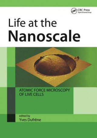 Книга Life at the Nanoscale Yves Dufrene