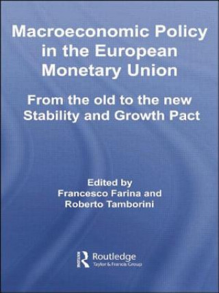 Könyv Macroeconomic Policy in the European Monetary Union 