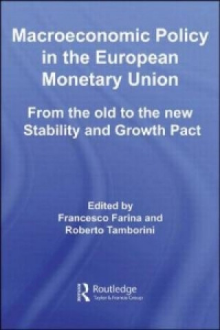 Könyv Macroeconomic Policy in the European Monetary Union Francesco Farina