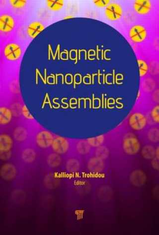 Könyv Magnetic Nanoparticle Assemblies 