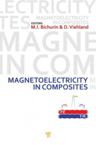 Kniha Magnetoelectricity in Composites Mirza Bichurin