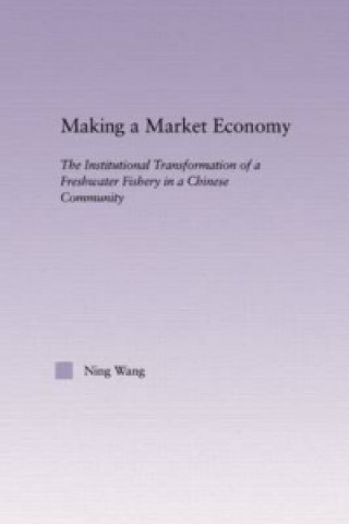 Kniha Making a Market Economy Ning Wang