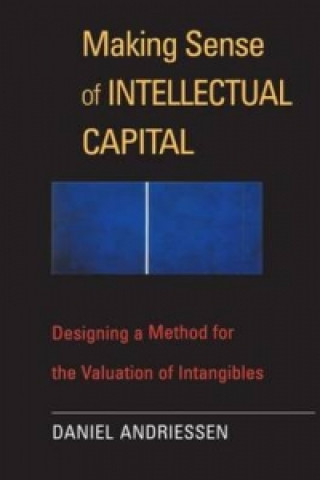 Könyv Making Sense of Intellectual Capital Daniel Andriessen